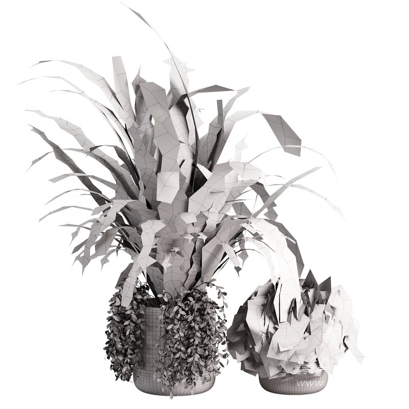 Outdoor Planters - Image 5