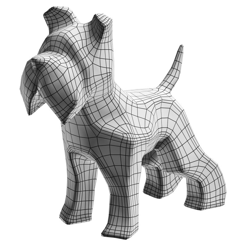 Schnauzer dog - Image 6