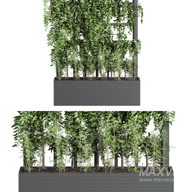 Plants_Set_66 - Image 2