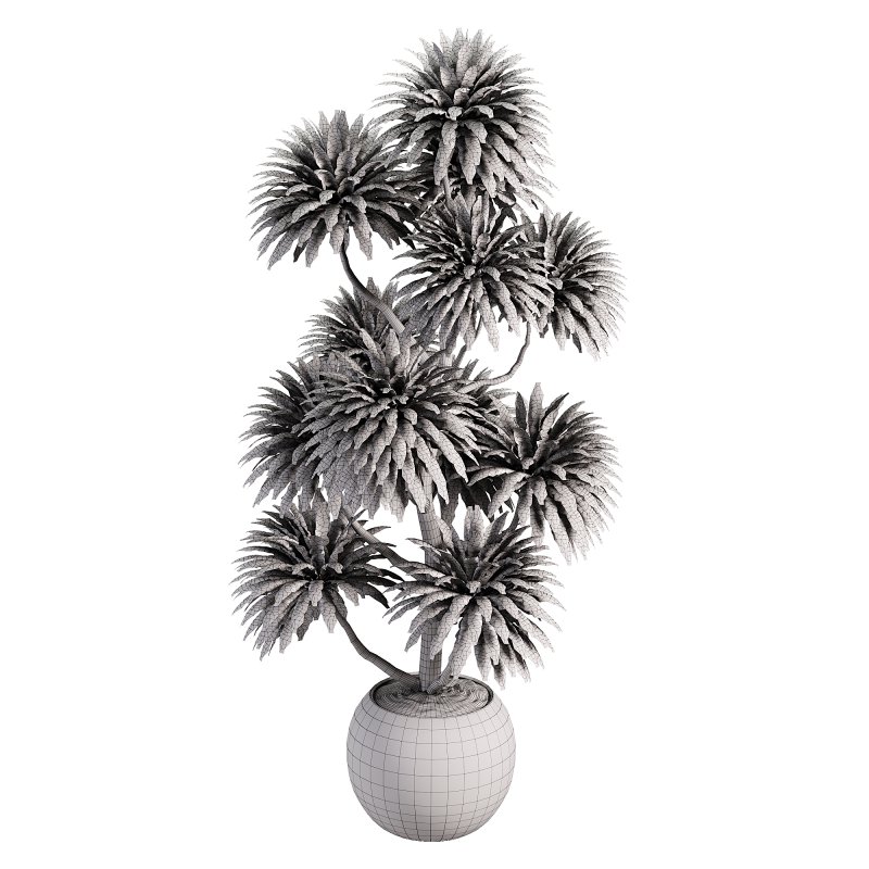 Indoor plent_06 - Image 5