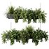 Indoorplants-Hanging plants set-86 - Thumbnail 2