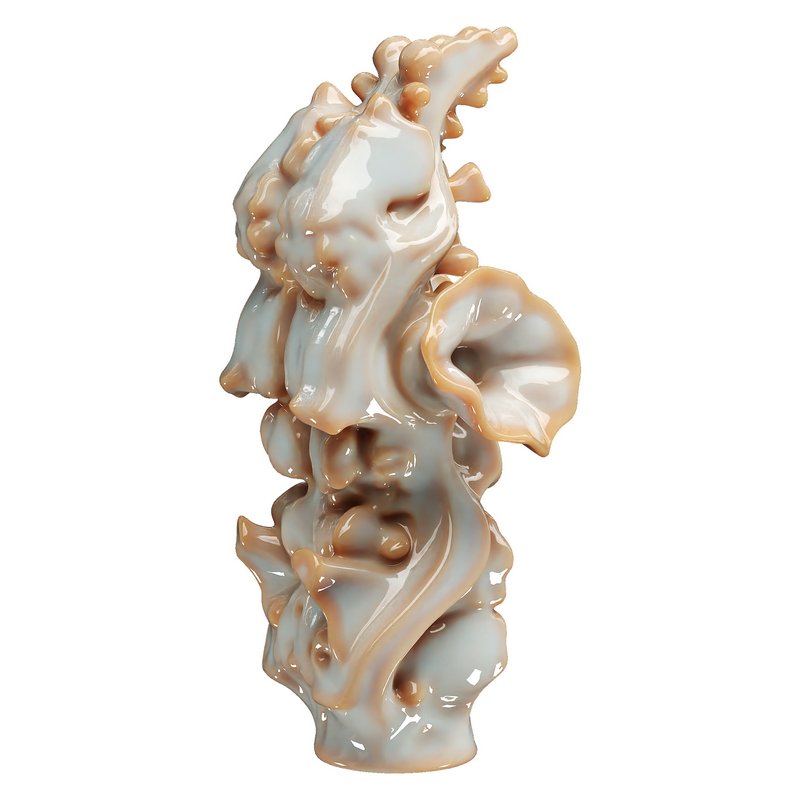 Decorative conch - Image 2