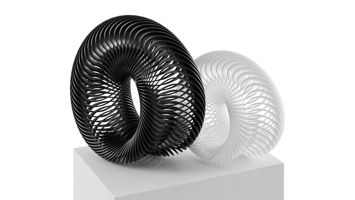 Abstract sculpture Nautilus Mobius - Image 6