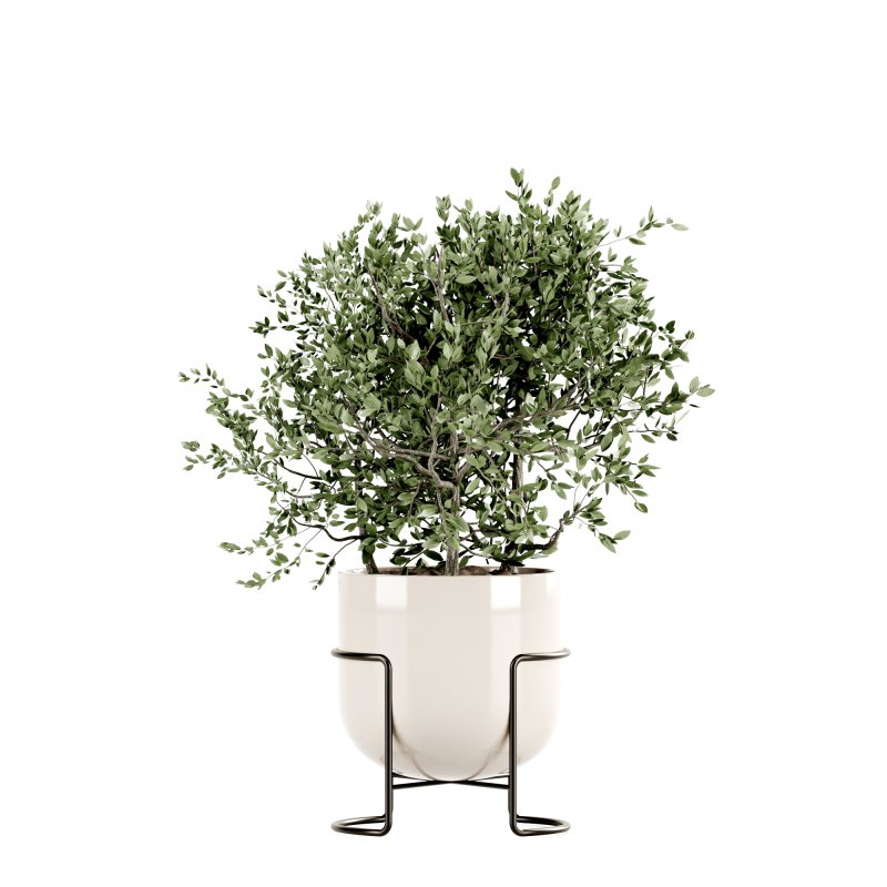 Indoor Plants set 165 - Image 7