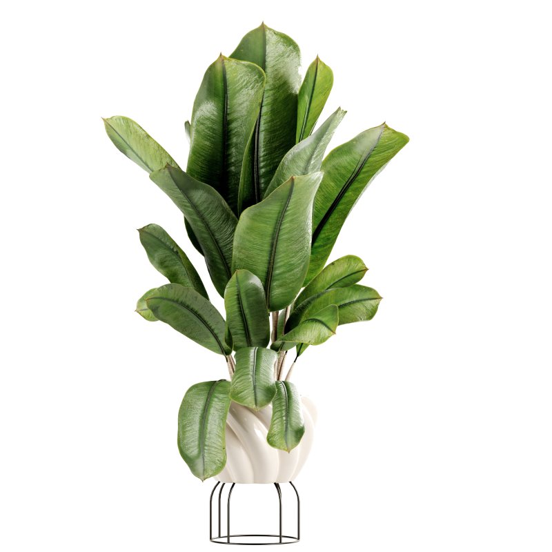 Indoor Plants set 165 - Image 2