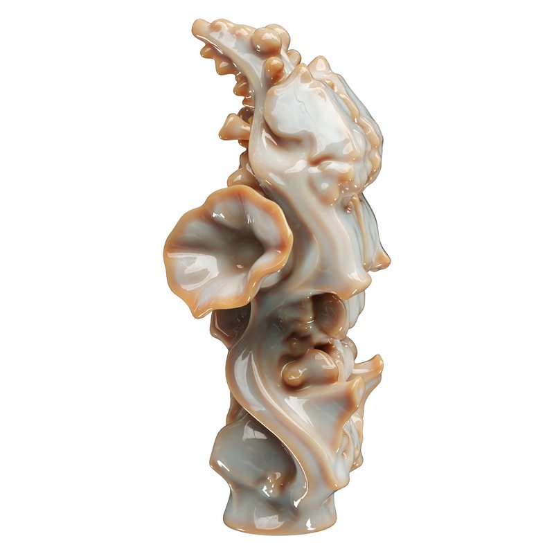 Decorative conch - Image 3