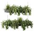 Indoorplants-Hanging plants set-86 - Thumbnail 1