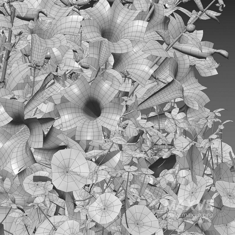 Pot plant 02 - Image 3