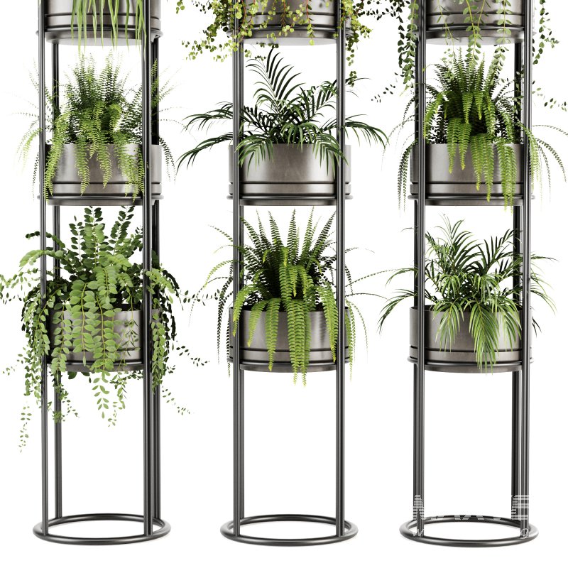 Indoorplants-Stand plant ivy set-164 - Image 3