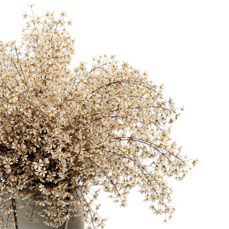 Bouquet-set10 - Image 3