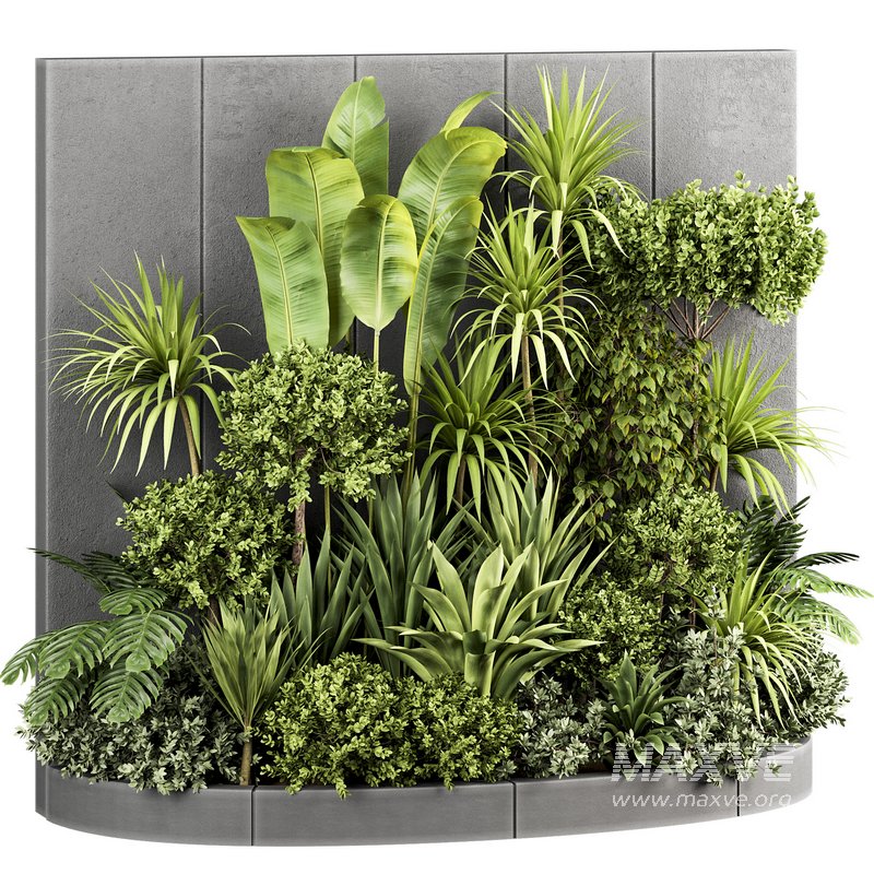 Plants In Box set-154 - Image 4