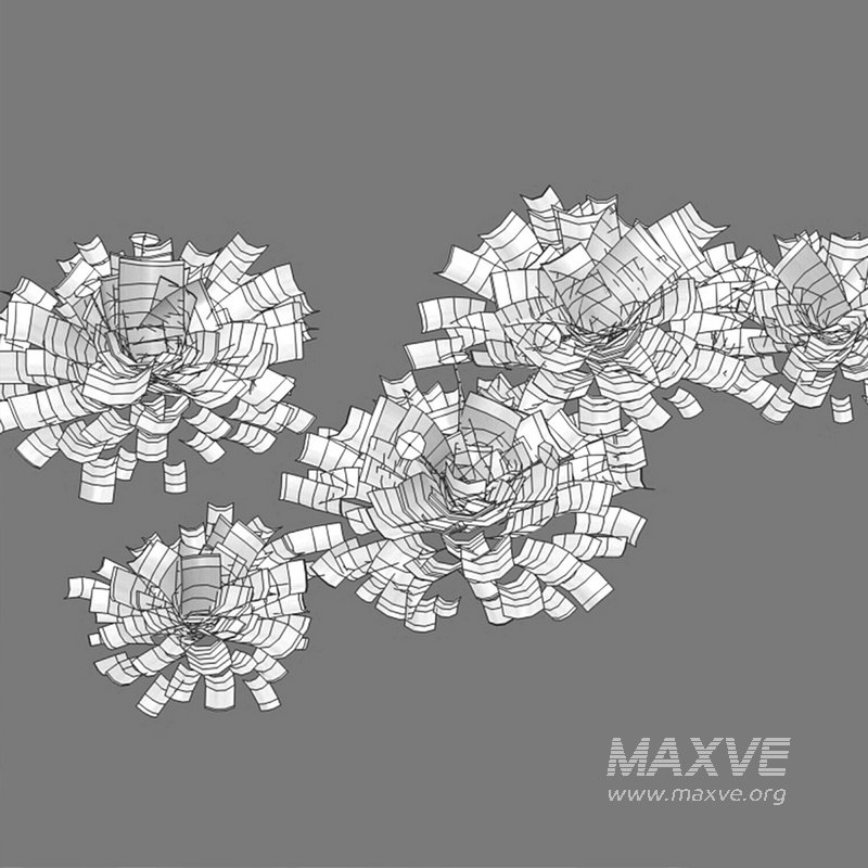 Marchantia polymorpha - Image 3