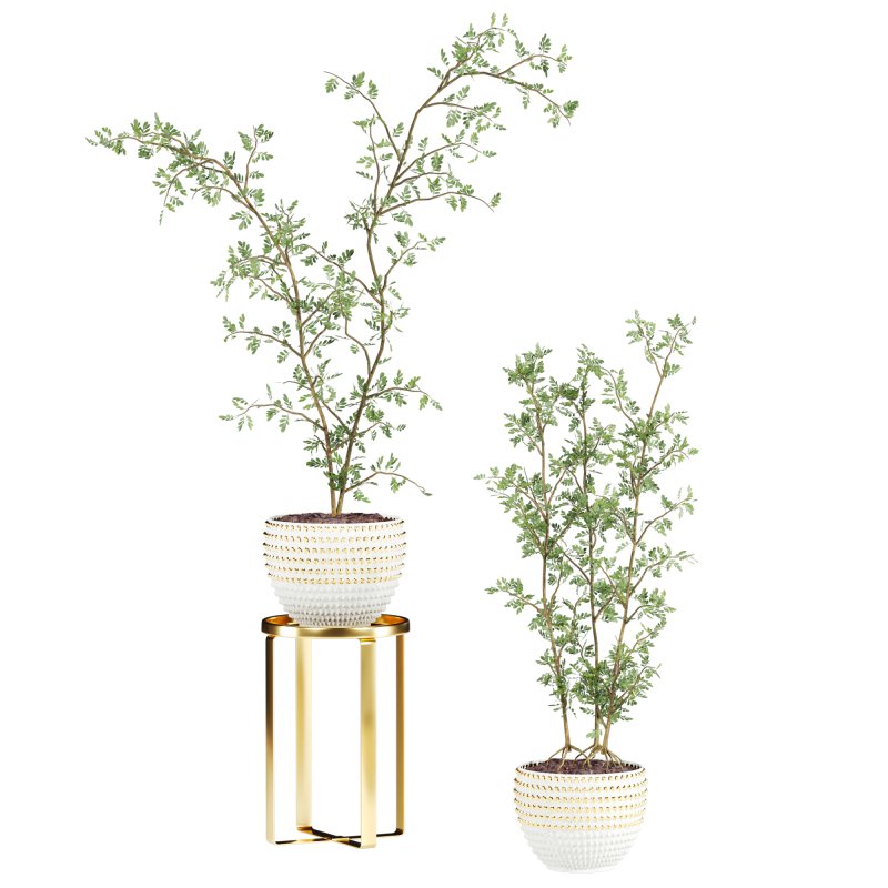 plants set - Image 2