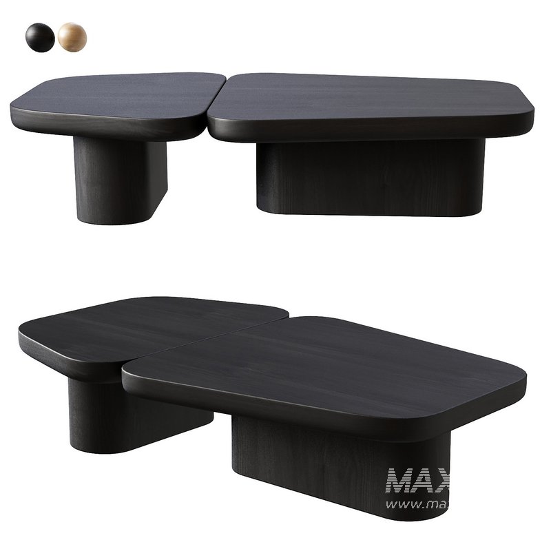 Pangea Contemporary Monolithic Coffee Table in Wood - Image 3