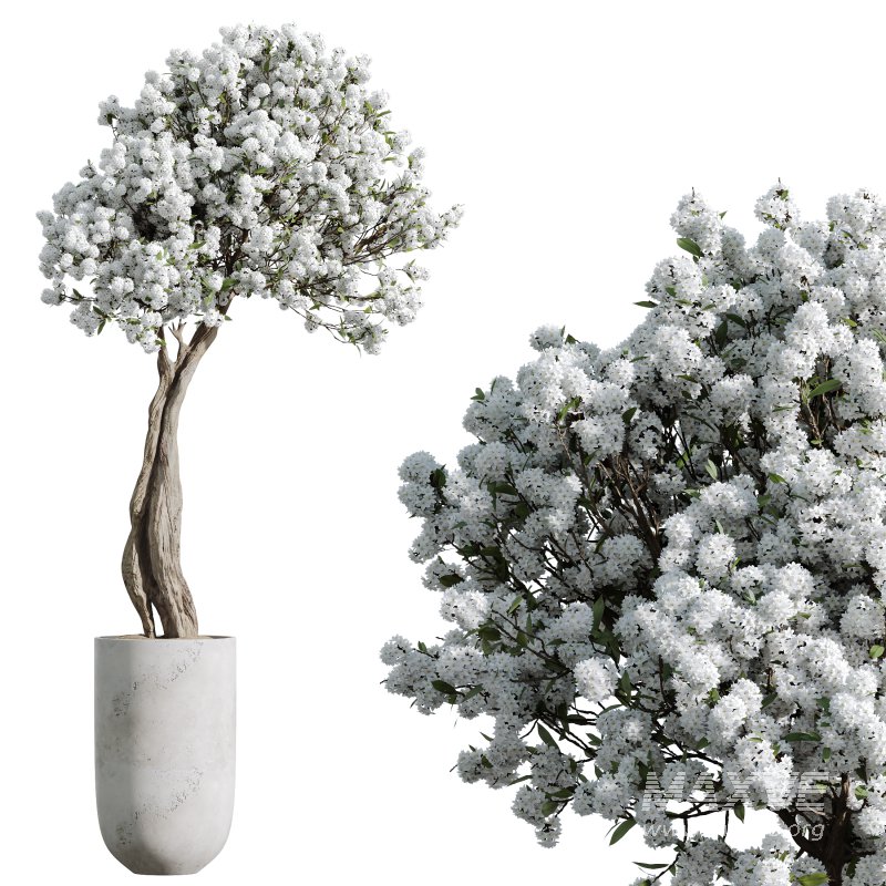 AV Tropez Planter Cherry Blossom Decorative Tree - Image 2