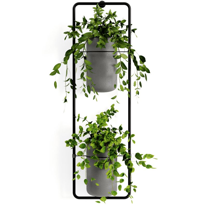 Indoorplants-shelf plants set156 - Image 3