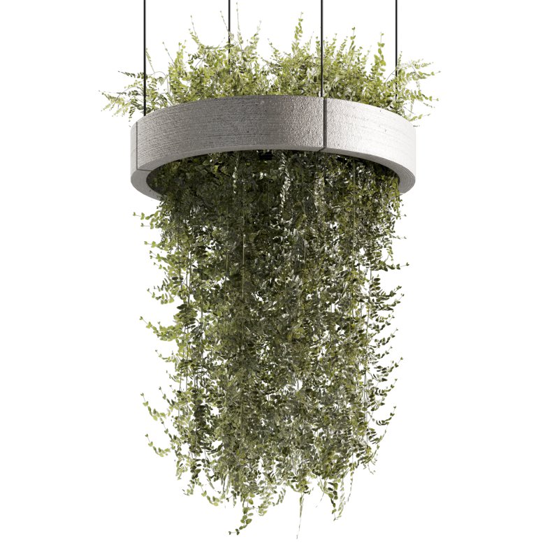 Indoorplants-Hanging plants set-89 - Image 2