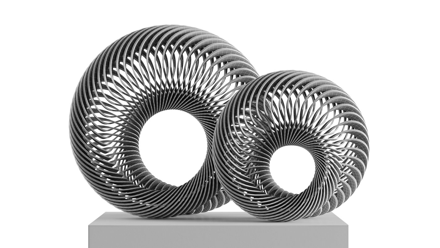 Abstract sculpture Nautilus Mobius - Image 9