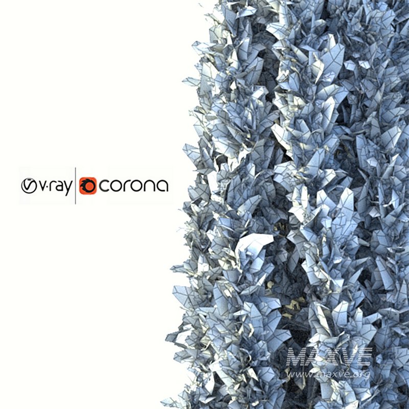 Cypress tree 01 - Image 2