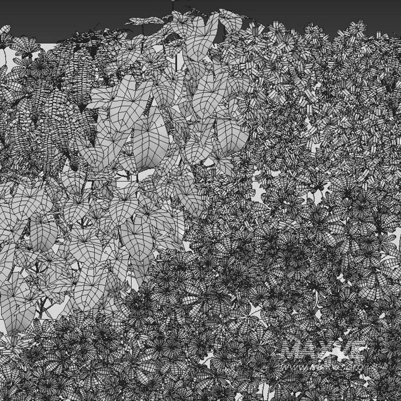 Vertical garden 04 - Image 2