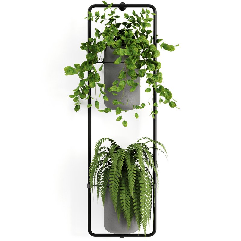 Indoorplants-shelf plants set156 - Image 4