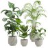 plants set - Thumbnail 1