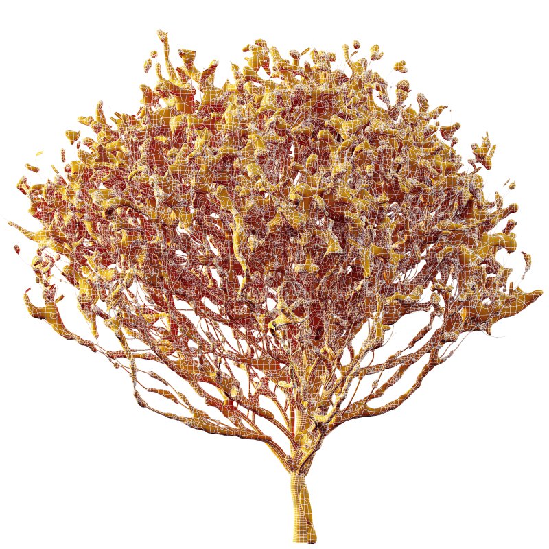 AV Plants Cistus Albidus Zistrose Winter Snow - Image 3