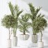 AV Indoor plants set 167 Artificial Olivo Olea Tree and Areca Majesty Cat Reed Palm and Lutescens Areca Palm - Thumbnail 7