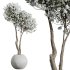 AV Tropez Planter Cherry Blossom Decorative Tree - Thumbnail 7