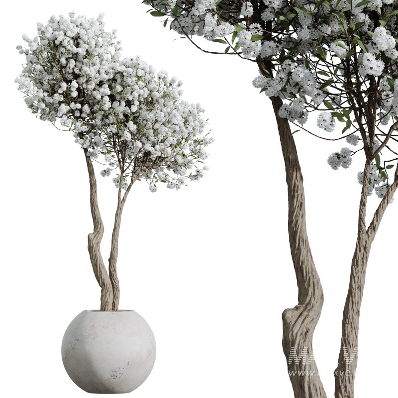 AV Tropez Planter Cherry Blossom Decorative Tree - Image 7