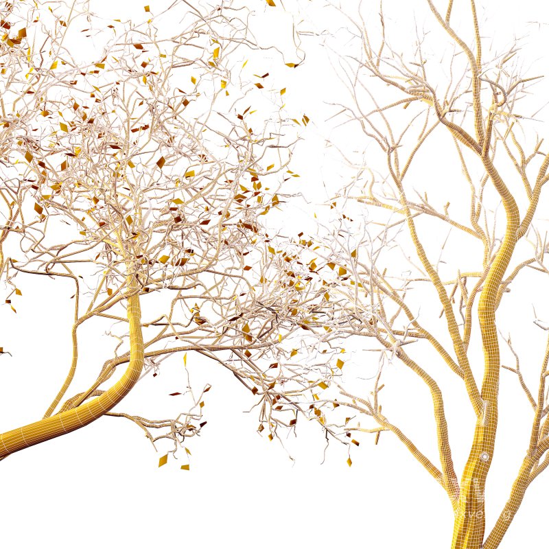 AV Winter Dry Tree - Image 4