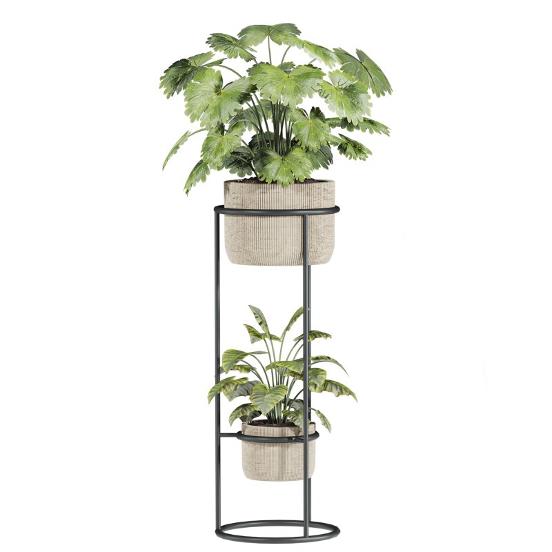 plants set - Image 1