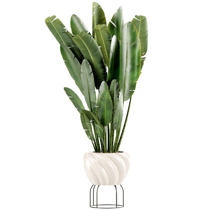 Indoor Plants set 165 - Image 3