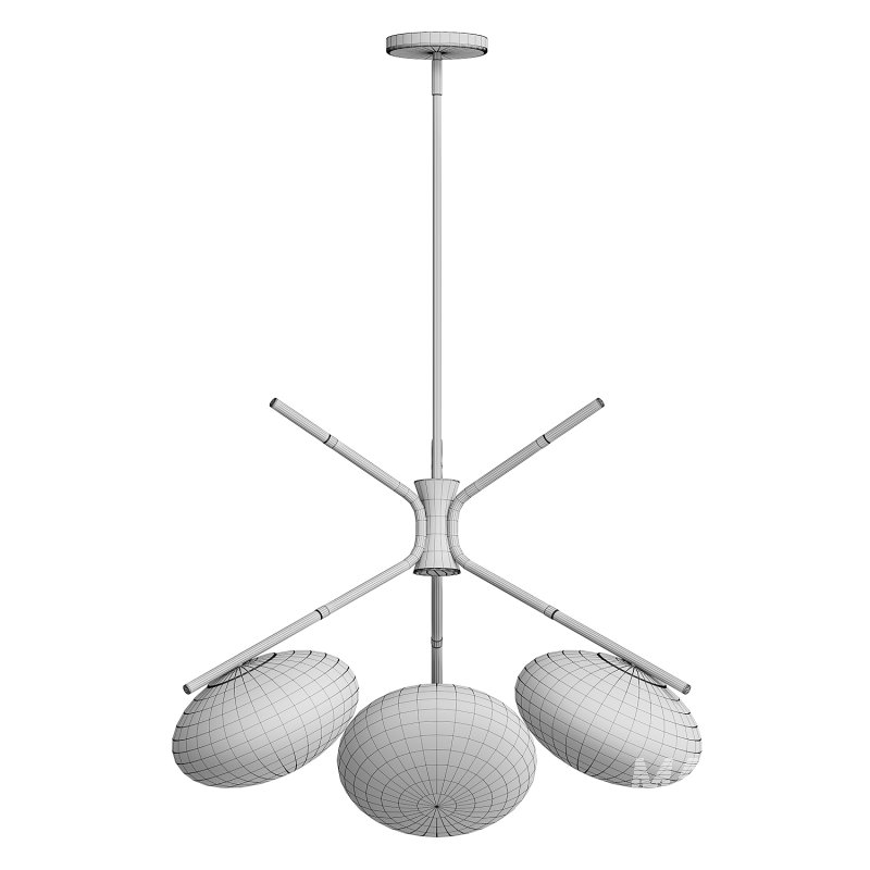 Champignon - Image 2