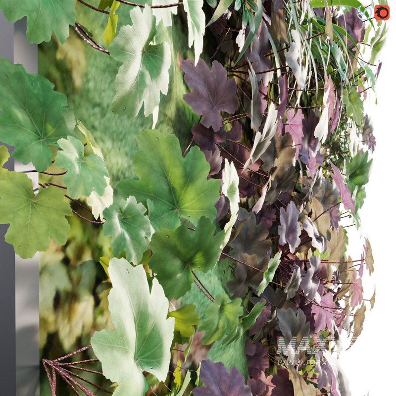 Vertical garden – Green wall – 01 - Image 2