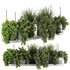 Indoorplants-Hanging plants set-85 - Thumbnail 5