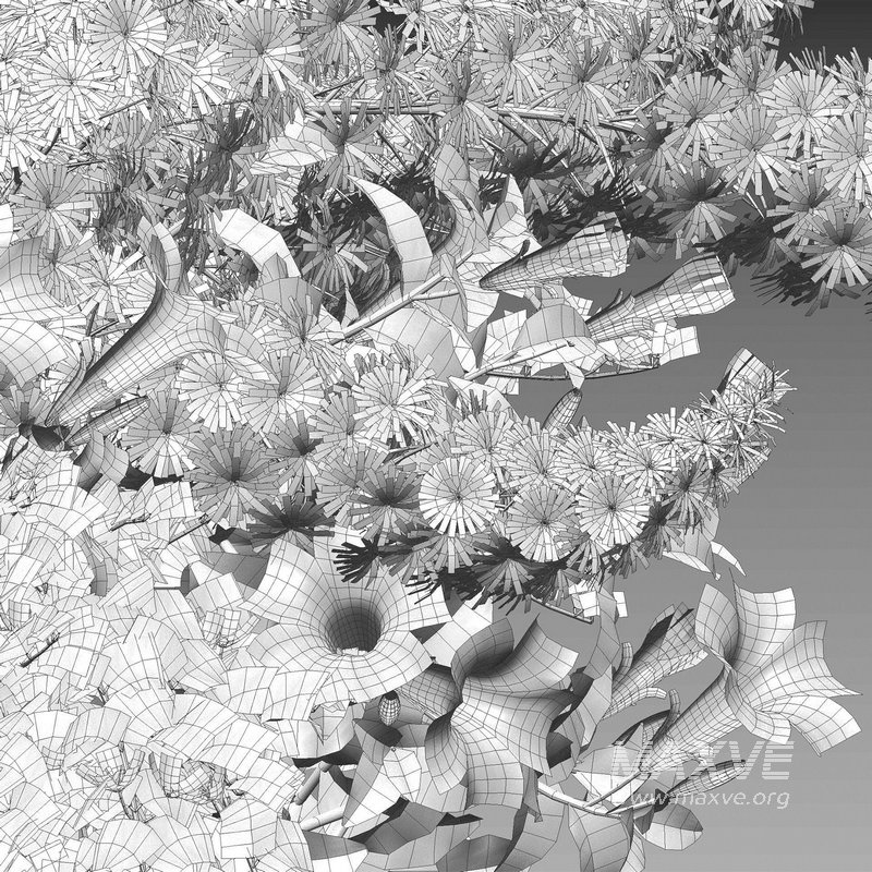 Pot plant 01 - Image 1