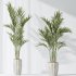 AV Indoor plants set 167 Artificial Olivo Olea Tree and Areca Majesty Cat Reed Palm and Lutescens Areca Palm - Thumbnail 4