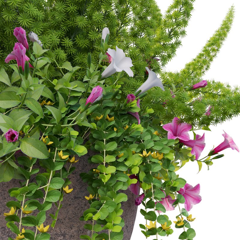 Pot plant 01 - Image 4