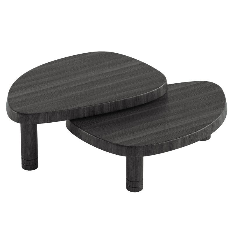 La siamoise Coffee Table - Image 3