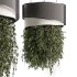 Indoor plants Hanging Plants set90 - Thumbnail 2