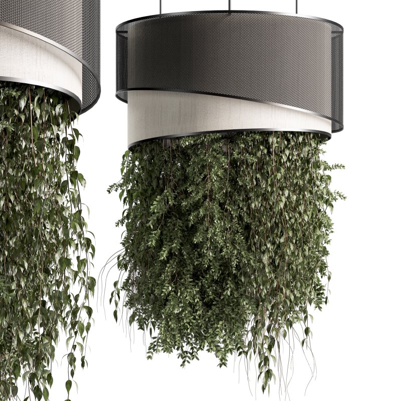 Indoor plants Hanging Plants set90 - Image 2