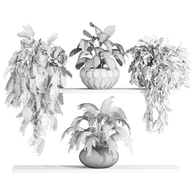 plants set - Image 1