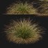 AV Calamagrostis Karl Foerster and Stipa Anemanthele lessoniana Grasses - Thumbnail 8