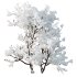 AV Plants Myrica Morella Pennsylvania Bayberry Candleberry Northern Winter Snow - Thumbnail 1