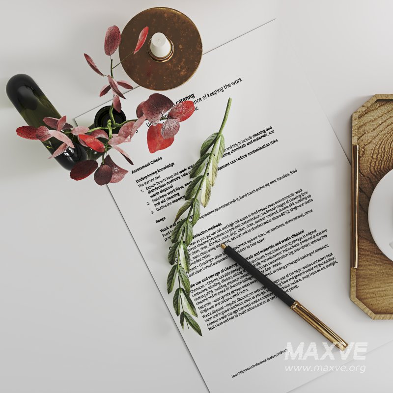 Decorative Set 010 - Image 5