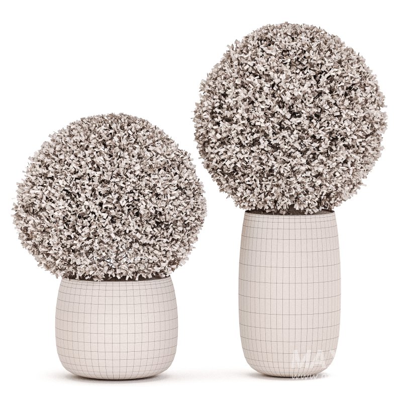 Outdoor Plant Set 05 - Image 3