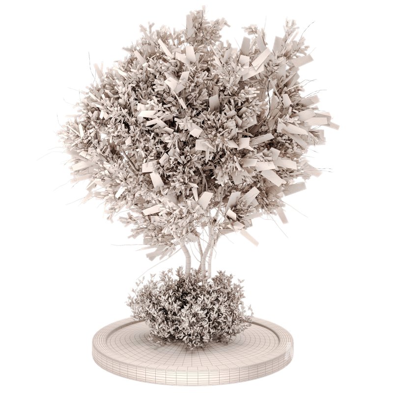 Outdoor Plant Set 011 - Image 4