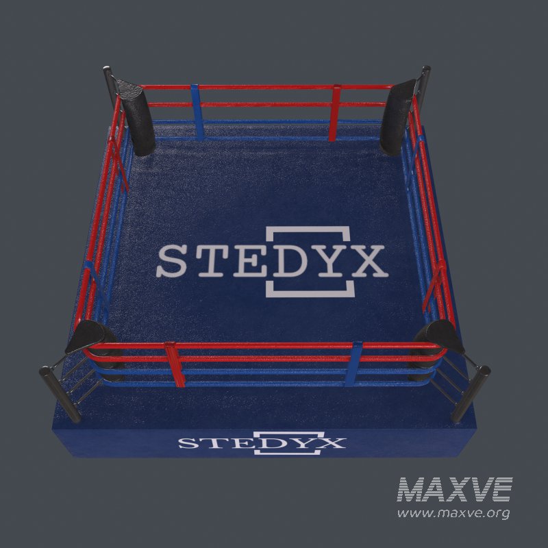 boxing ring - Image 2