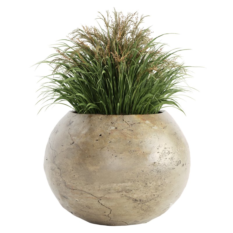 Outdoor Plant Set 016 - Image 1